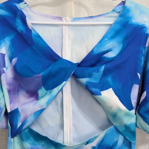 Blue Floral Dress - Picture 7 of 16